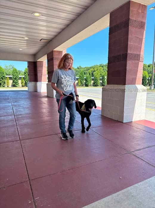 A handler heels a black dog on a loose leash past brick pillars on a sunlit walkway